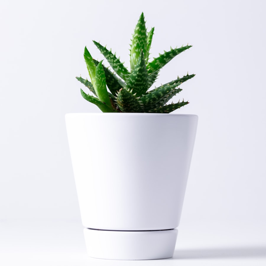 Mini Pot Set