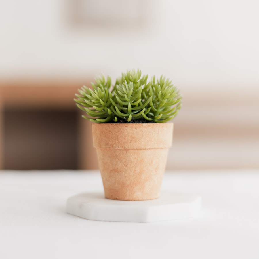 Planter — Terracotta